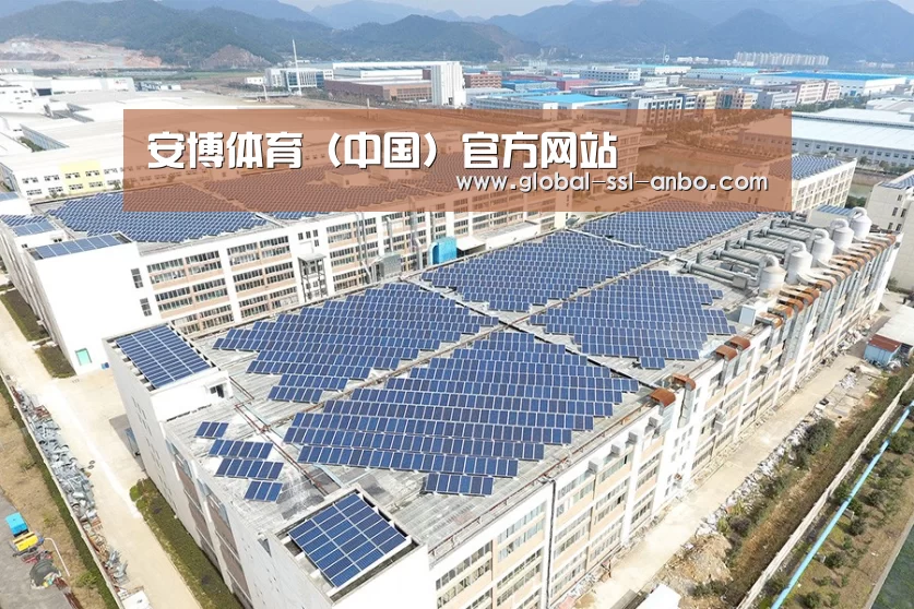 案例展示四