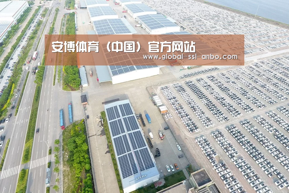 案例展示二